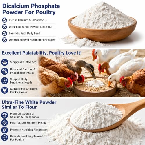 Dicalcium Phosphate Feed Grade, Calcium & Phosphorus Mineral Supplement, Livestock and Poultry Feed Additive for Cattle, Sheep, Chicken, Duck and Backyard Farm Animals 16 oz (16 oz)