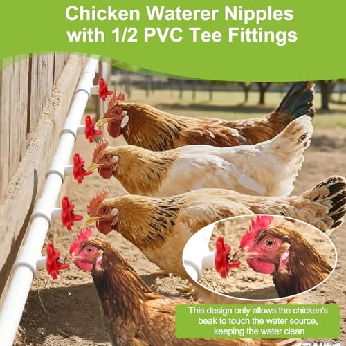 EEEKit Chicken Nipple Waterer Kit: 12 Pack Horizontal Automatic Poultry Side Mount Drinker 1/2 Inch PVC Tee Fittings DIY Chicken Duck Quail Watering System