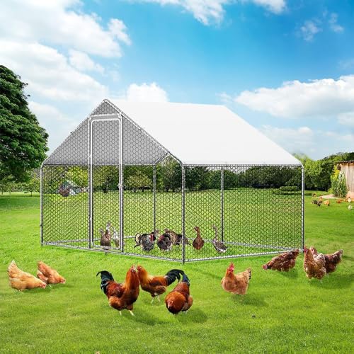 2 Pack Chicken Coop Cover Waterproof, 11.3 * 6.3 FT Chicken Run Cover Coop Tarp, Large Chicken Coop, Duck Coop Tarp Replacement,White (Top Cover Only, Frame Not Included) - size: 11.3x6.3 FT