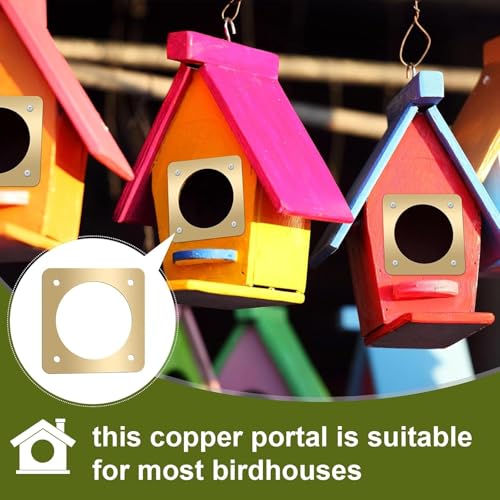 Hotop 12 Pcs 1 1/2 Inch Opening Bluebird Metal House Hole Guard Portal Bird House Protect Bird Room Guard Copper Portal with Opening for Eastern Bluebird Rooms Sparrow Houses(Gold) - color: Gold, size: 1 1/2 Inch, style: Opening