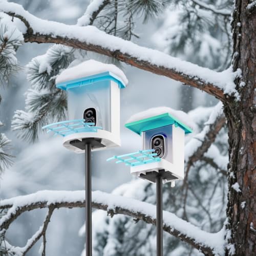 Bird Feeder Pole Kit 80.5 Inch, Outdoor Heavy Duty Birdhouse Pole, 6 Base Adjustable Bird Feeder Holder (for G08,G11Bird Feeder) - color: Black