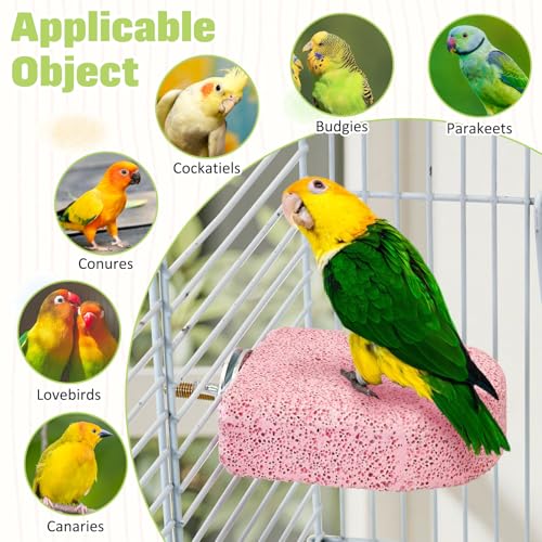 BNOSDM 4 Pcs Pink Bird Beak Grinding Stone Calcium Parrot Perch 3.1 * 2.6in - color: 4 Pcs- Pink (M+)
