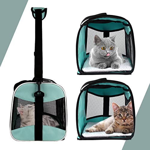 Cat Dog Carriers Soft-Sided Pet Carrier Large Cats for Medium Big Cat Small Dog Puppy up to 16lbs TSA Airline Approved Animal Collapsible Cat Carrier Carriers Travel Carrier Cat Bag (17x11x11) - color: green, size: 17.0"L x 11.0"W x 11.0"H
