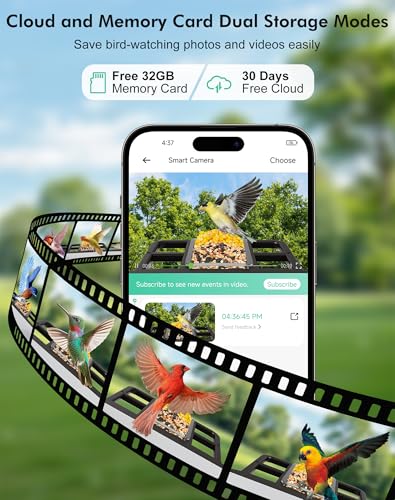 Smart Bird Feeder with Camera,5200mAh Battery with Solar Panel, 4K Native Resolution Live View, AI Species Identification, Auto Capture & Instant Arrival Alert, Ideal Gift for Bird Lovers (Dark Grey) - color: Dark Grey