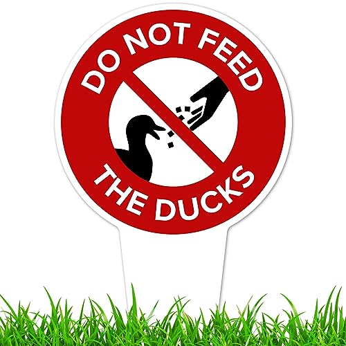 Do Not Feed the Ducks Sign, 7"x13", Heavy Duty Integrated Ground Stakes, Indoor/Outdoor Use, Rust Free Aluminum Composite, Made in USA by My Sign center - color: Ducks, size: 7"x13"