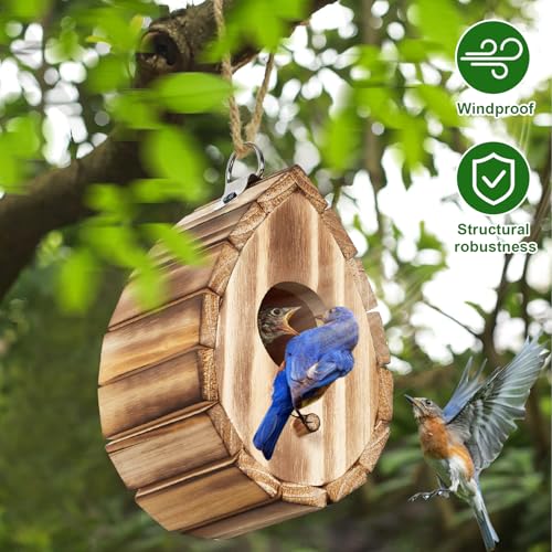 Hummingbird House for Outside - Natural Wooden Birdhouse for Bluebirds, Finches, Cardinals - Small Hanging Bird Nesting Box for Garden, Patio, or Yard - 5.9" D x 4.1" W x 3.8" H