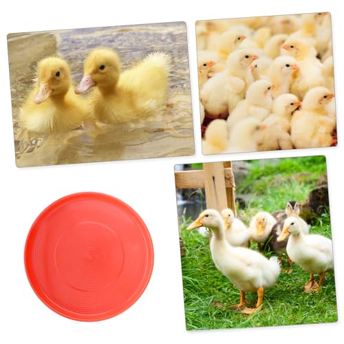 DQITJ 6 Pack Chicken Starter Plate Poultry Food Dispenser Chicken Plastic Brood Feeding Tray for Small Poultry Chicken Duck Pigeon Quail Bird (Dia: 12.2""), Red