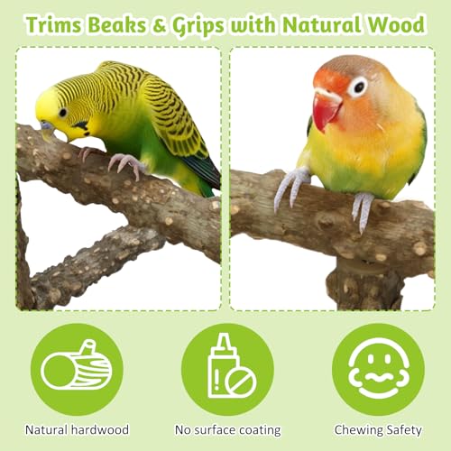 BNOSDM Natural Wood Bird Playground for Training & Playing, Parrot Perch Stand Jungle Gym with Hanging Bridge & Detachable Tray Parakeet Cage Playstand for Budgie, Cockatiel, African Grey - color: Bird Stand with Bridge