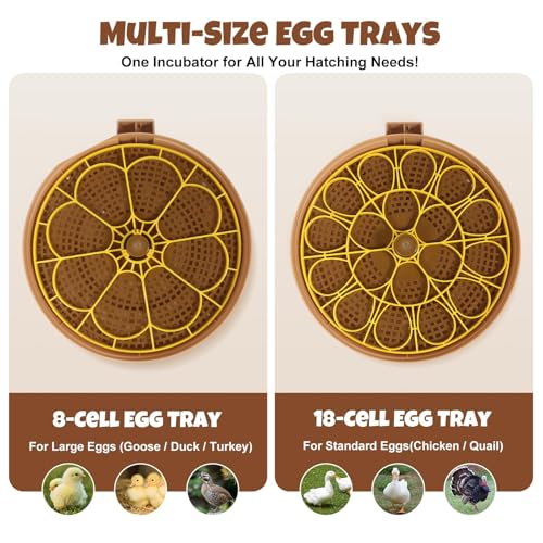 Nest III - 18 Egg Incubator for Hobbyists, Dual-Size Egg Trays, Multi-Level Adaptive Humidity & Temp Control, Custom Incubation Days, Auto Turning & Auto Stop, Integrated Digital Display, Candler - size: 18 Egg [Brown Hen]