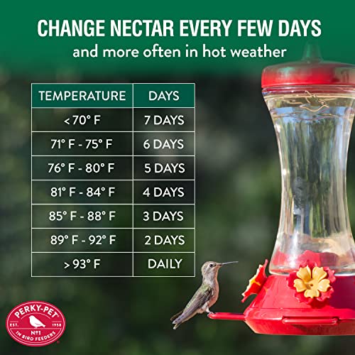 Perky-Pet 476 Glass 20-Ounce Hummingbird Feeder - color: Red