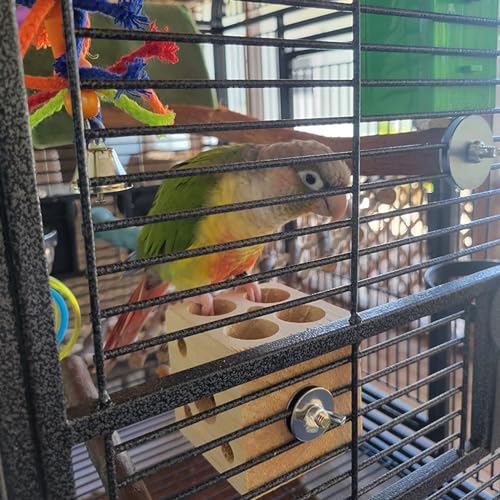 QBLEEV Bird Wooden Block Puzzle Parrot Chicken Foraging Toys, Small Animal Shredding Teething Parakeet Cockatiel Conure Budgie Cage Toys - size: L-3.15“