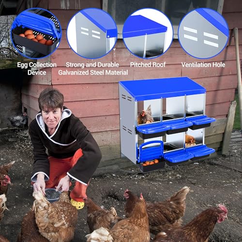 Chicken Nesting Box,Chicken Laying Boxes with 3 Compartment Metal Stainless Steel,Chickens Egg Laying Nest Boxes with Rollout Egg Collection,Chicken Brooder Box with Perch, Blue - color: Blue, size: 6 Holes
