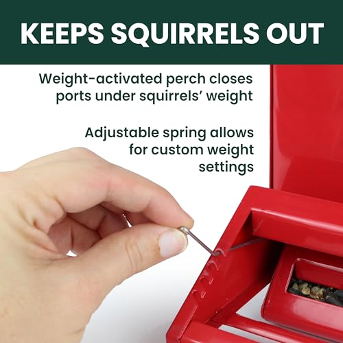 Perky-Pet Squirrel-Be-Gone II Country Style Bird Feeder, 8 lb Seed Capacity | Weight-Activated, Squirrel Proof, Metal Construction, Rust Resistant, Locking Lid, Removable Roof, Adjustable Settings, 338
