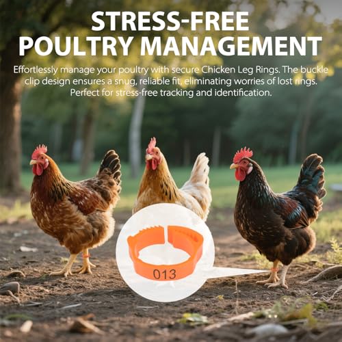 Chicken Leg Rings, 100 pcs, Numbered Tag Markers, Orange | Adjustable Foot Label, With Buckle, Clip-on Band, For Poultry Pigeon Chicks Bantam Duck Goose