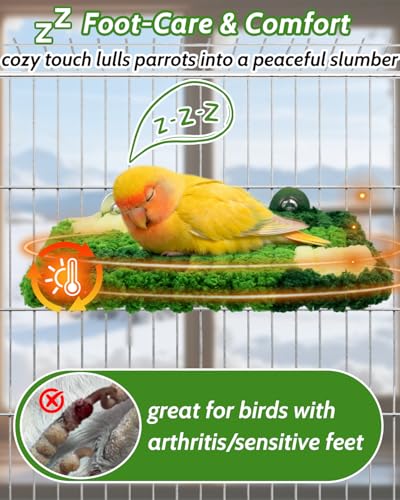 2Pcs Warm Coral Fleece Bird Perch, Gentle for Sensitive Feet | Hanging Flat Resting Platform with Sturdy Frame, Secure Foot Grip, Spacious Soft Perch for 1-2 Birds, Budgies & Cockatiels - size: 2Pcs
