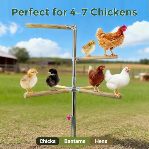 Chicken Perch Toy for Coop - Adjustable Chicken Roosting Bars | Roosting Bars for Chickens in Coop (6pcs) - Chicken Perch Run with 3-Prong Ground Plug, Chicken Roost Perch for 4-7 Chickens - size: H=61.2inches