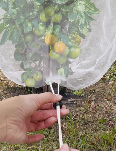 2 Pcs 6x6ft Fruit Tree Covers with Zipper and Drawstring,Nets to Protect Garden Blueberry Bushes from Birds and Insects, Fruit Tree Netting for Vegetable - size: 6 X 6ft