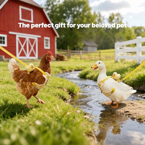 2Pcs Chicken Leashes and Harnesses Set, Adjustable Duck Harness and Leash | Adjustable Duck Leash with Elastic Breathable Pet Harness, Cat Vest for Goose Duck Hen Training Walking Strap Traction Rope
