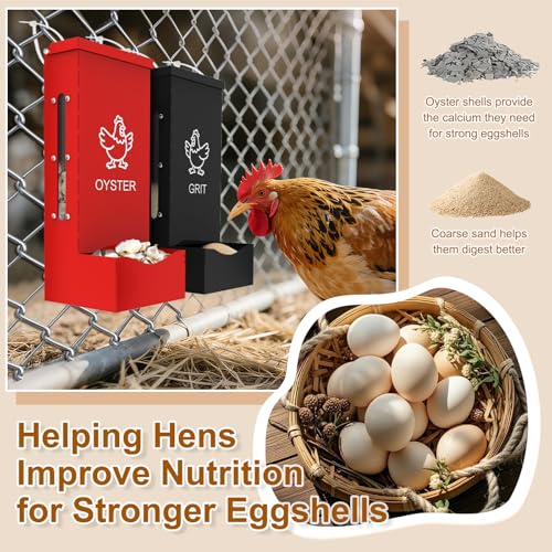 2 Pack Chicken Grit Oyster Shell Feeder, Metal Gravity Feeder with Lid | Wall Hanging Chicks Food Dispenser Chicken Coop Accessories for Hens Ducks Pigeons, Red+Black - color: Red + Black