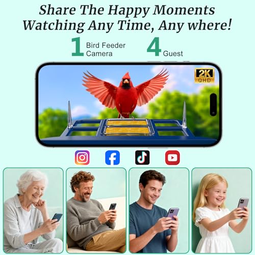 Bird Feeder with Camera, Solar Powered, 2K HD Live Video, Gifts for Men | AI bird recognition and real-time app alerts, built for reliable outdoor use in gardens, patios and backyards.