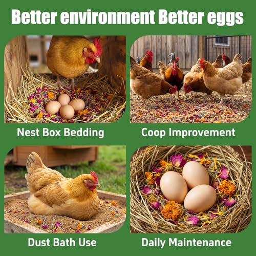 42oz Bulk Chicken Nesting Herbs, Natural Blend for Coop Nest Boxes | Pure aromatic nesting herbs freshen coops, attract hens to nest boxes, reduce floor eggs; calming scent eases stress