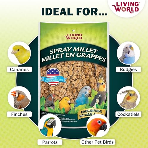 Living World - Millet Spray for Birds, 3.5 Oz – Premium Treat for Budgies, Canaries, Finches, Cockatiels and Other Pet Birds - size: 3.5 Ounce (Pack of 1)