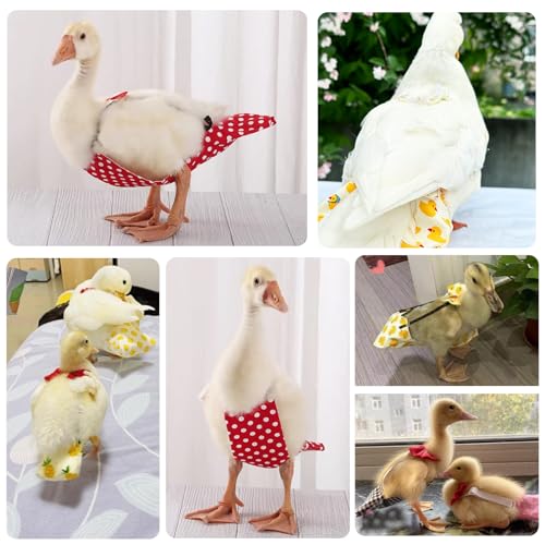 QBLEEV Pet Cole Duck Diapers for Baby Ducks, Chicken Diapers for Real Hens, Fashionable Duckling Nappy Poultry Cloth for Indoor Chick Goose Hen