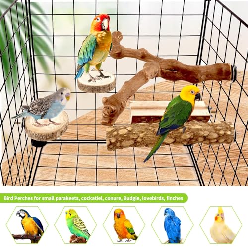 8 Pcs Natural Grape Wood Bird Perch & Platform Set for Cages | Ideal for Small/Medium Birds (Budgies, Conures) | Bark Textures for Foot Health | Tool-Free Wing-Nut | Safe Chewing - size: Natural Grapewood Variety Set - 8PCS