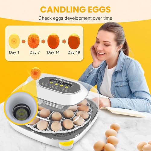 Sailnovo 24 Eggs Incubator, 4 Modes, Temp Control & Humidity Display, Grey | 3 Preset Modes, Built-in Candler, 360 View Window, Humidity Alarm, Easy Clean, Chicken Duck Quail eggs, Home Classroom Farm - color: Grey, size: 24 Eggs