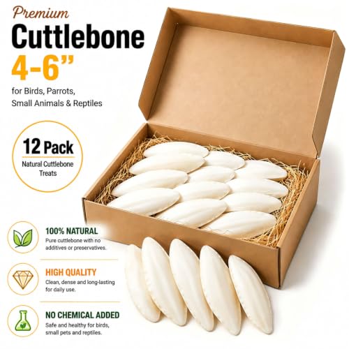 Amzey 12 Pack Cuttlebone for Birds, 4-6 Inch Natural Calcium Source for Parrots