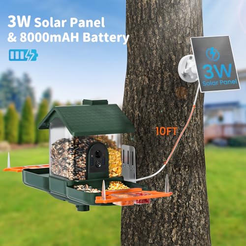 Bird Feeder with Camera and Bath, Dual-Lens 2K HD Video, AI Bird Identification, Solar Powered, Instant Alerts, IP66 Weatherproof - color: Deep green