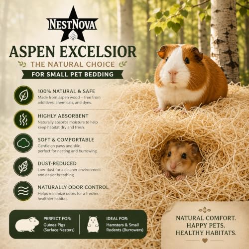 NestNova™ Aspen Excelsior, 2 lb Box of USA-Grown Aspen Fiber. Eco-Friendly Material for Chicken coops, Small pet Bedding, Crafts, and Gift Baskets. Biodegradable and Hand Packed. 2 Boxes (4 lbs)