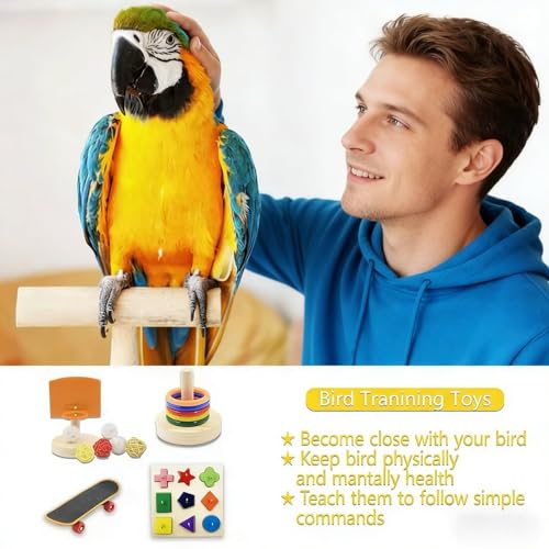 5 Packs Bird Toys Parrot Training Toys Parrot Wooden Block Puzzles Toy Bird Basketball Toy Small Sepak Takraw Bird Skateboard Bird Stacking Toy for Birds Parrot Training