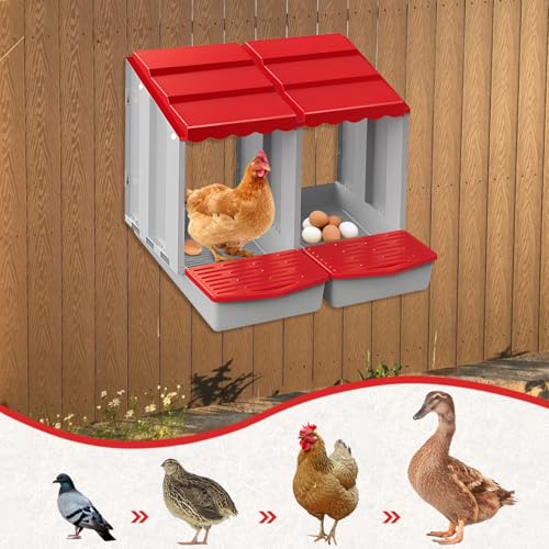 2 Hole Chicken Nesting Box with Rolling Egg Collection Design | Rolling Egg Collection & Protection Nesting Boxes, Avoid Broken Eggs, Ideal for Coops, Backyard & Family Chicken Raising - size: 2 Compartment