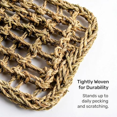 MAQIHAN Seagrass Mat for Birds - Bird Toys Seagrass 11.8x7.8 Inches | Bird Climbing Wall Seagrass Net Hammock Toy for Medium Parakeets Lovebirds Finch Budgerigars Conure Cockatiel with 2pcs twine
