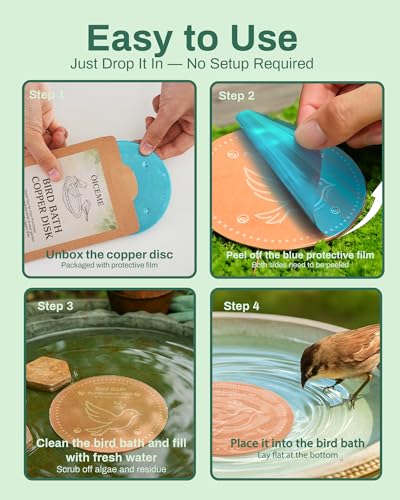 OICEME Bird Bath Purification Disk Pure Copper Outside Winter Solar Power Birdbath Humming Bee Water Fountain Window Feeder Stand Nectar Food Pole House Hanging Birdhouse Flower Bird Accessories - color: Copper 2PCS Flower＆Birds