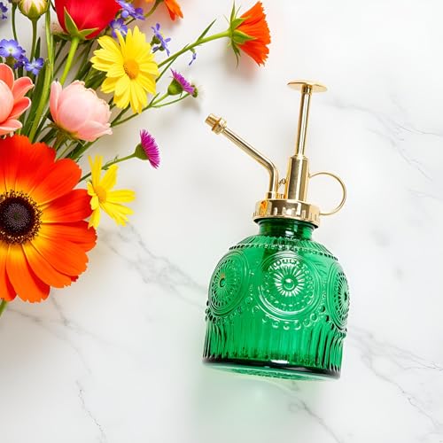 Glass Plant Mister Spray Bottle, 230ML Vintage Plant Spritzer, Succulent Watering Bottle Glass with Top Pump, Small Plants Sprayer Watering Can for Indoor Outdoor House(Green) - color: Green