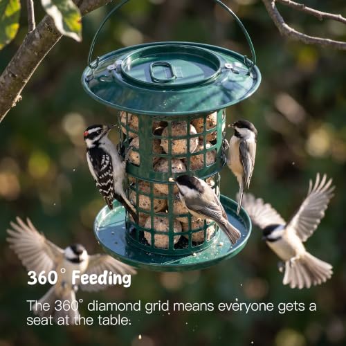 KOL Metal Suet Ball Feeder for Birds – Single-Layer Expandable Design Suet Bird Feeder, Heavy-Duty Wild Bird Feeder with Secure Lid, Large Capacity for Backyard (Jasper) - color: Jasper