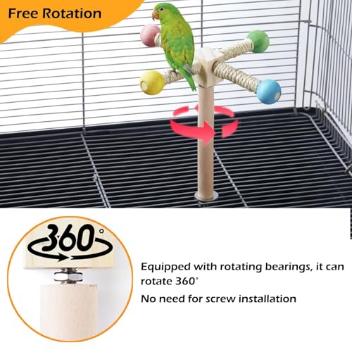 Bird Perch Toy, Kiln-Dried Wood Interactive 360° Spinning Cage Toy(S) | Exercise Wheel Parrot Toy, Enrichment Cockatiel Toy for Bird Cage, Bird Cage Accessories Perch Toy for Budgies Lovebirds - size: Small (no bells)