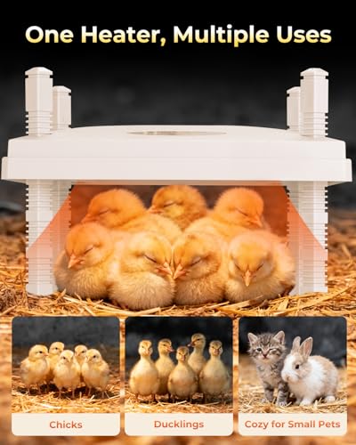 12"x12" Chick Heat Plate with Remote Precise Temperature Control | Adjustable height and angle, anti-tip frame, 30W low-energy heating, supports up to 20 chicks, ideal for indoor brooding