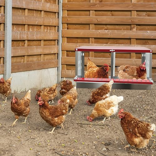 XINYI Chicken Nesting Boxes for Laying Eggs,Metal Coop for 2 Chickens,Roll Away Nesting Boxes,Easy Egg Collection,Brooder Box for Rabbit,Squirrel,Parakeet,Owl,Cockatiel,Robin - size: 22.0"L x 13.0"W x 12.6"H