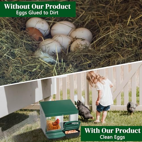 Chicken Nesting Box, Roll Out Metal Chicken Nest Box with Egg Tray, 2 Compartment Hen Nesting Box for Laying Hens, Durable Poultry Nesting Box with Plastic Basket, Green - color: Green-1, size: 2 Holes