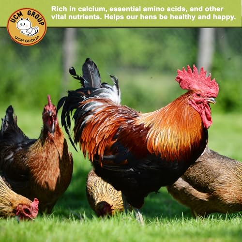 20LB Dried Black Soldier Fly Larvae for Chicken, Poultry, Wild Birds,100% Natural Non-GMO, No Additives, Treat, More Calcium Chicken Treats Than Mealworms，4 Packs - size: 5 Pound (Pack of 4)