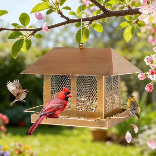 Bird Feeders 3.5LBS for Outdoors Hanging | fit for House Finches, American Goldfinches, Black-capped Chickadees, House Sparrows, Pine Siskins, Chipping Sparrows so on - size: 3.5LBS