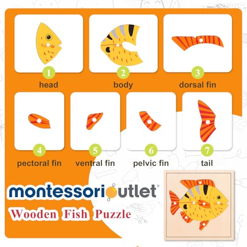 Montessori Outlet Fish Puzzle for Children 3-6 Years Montessori Education at School and Home - color: Fish