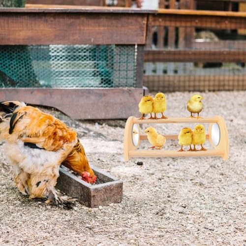 ALIBBON Mini Chicken Perch with Mirror Chick Strong Wooden Jungle Gym Roosting Bar Chicken Toys for Coop and Brooder Chick Training Perch for Large Bird Baby Chicks Parrot