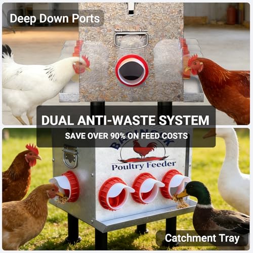 10Gal 55lb Automatic Chicken Feeder, 8 Port No Waste Chicken Feeders Rat-Proof Large Metal Poultry Feeder with Window & Catchment Tray, Adjustable Legs Waterproof Rust-Proof for Coop Outdoors