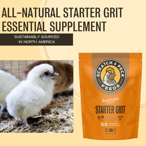 Scratch and Peck Feeds | Starter Grit for Chickens & Ducks | 7 lb Pouch | Essential Supplement for Healthy Digestion and Gizzard Health, All Natural, Sustainably Sourced - style: Chick Grit - 7-lbs