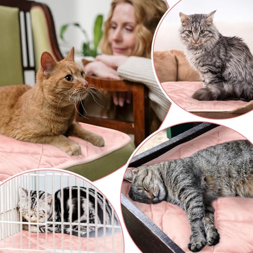 4 Pack Self Heating Cat Pad Self Warming Dog Mat Reflects Body Heat Extra Warm Thermal Pet Pad Washable Dog Cat Bed Crate Bed Mat Blanket (Pink,16 x 20 Inch) - color: Pink, size: 16 x 20 Inch
