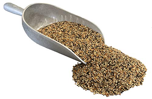 Wild Finch Mix Extra | All-Natural, Premium Bird Seed (9 lbs Resealable Bag)